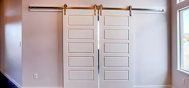 Glass Barn Door with Installation Hardware Kit Greenwood