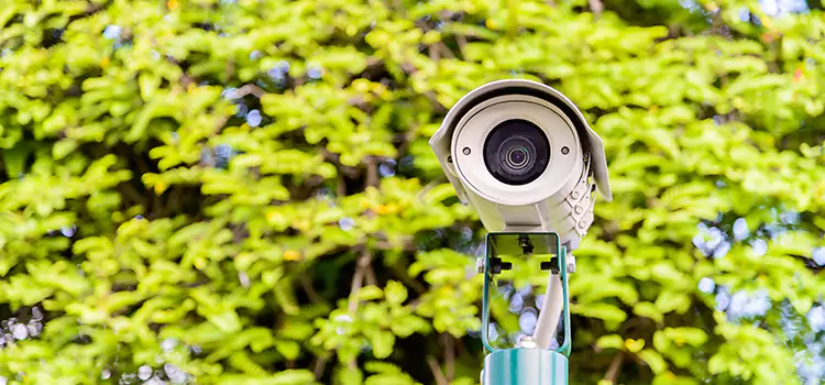 Advanced Surveillance Solutions for Every Need in Greenwood